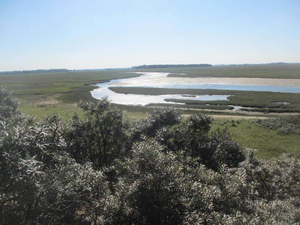 Beautiful And Spacious Villa With A Panoramic View Near The Beach Of Cadzand Eksteriør billede